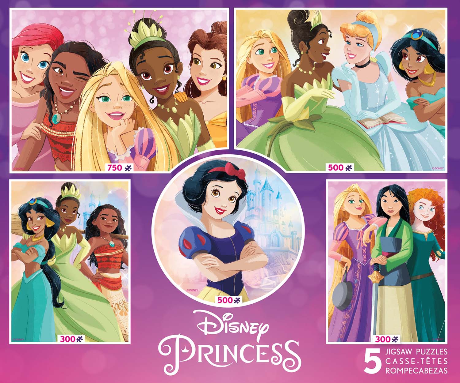 Disney Princess 5 In 1 Pieces Vary Ceaco Serious Puzzles