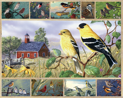 Songbirds Pieces White Mountain Serious Puzzles