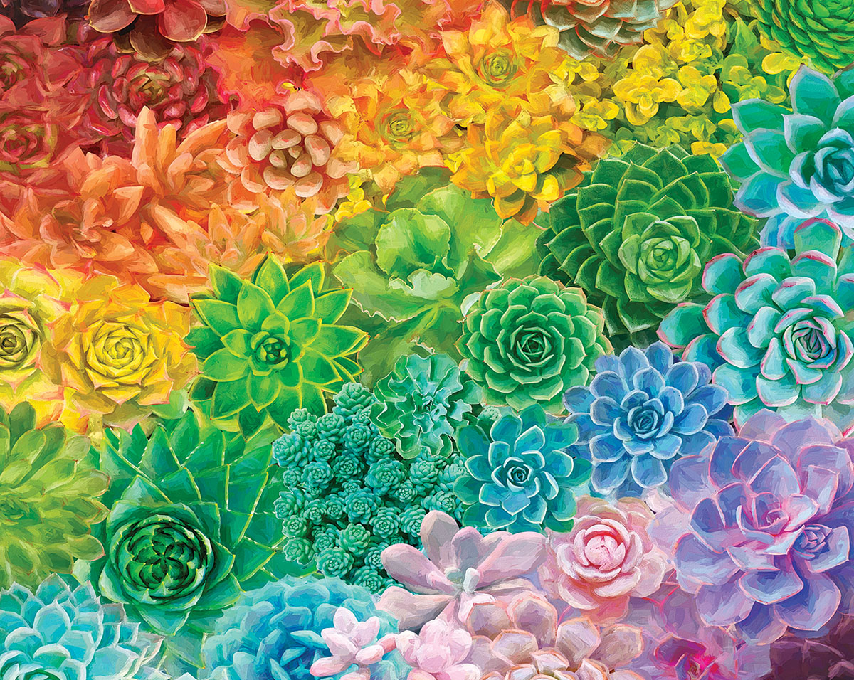 Succulent Rainbow Pieces White Mountain Serious Puzzles