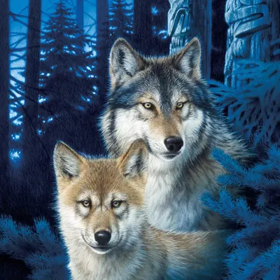 Wolves