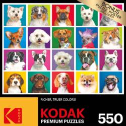 20 Dogs Animals Jigsaw Puzzle