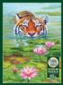 Land of the Lotus Cultural Art Jigsaw Puzzle