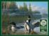 Common Loons Birds Jigsaw Puzzle