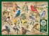 Popular Backyard Wild Birds of N.A. Birds Jigsaw Puzzle
