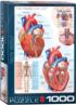 The Heart Educational Jigsaw Puzzle
