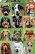 Dogs Collage Dogs Jigsaw Puzzle