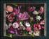 Cultivated Flower & Garden Jigsaw Puzzle