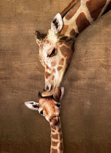 Giraffe Mother's Kiss Jungle Animals Jigsaw Puzzle