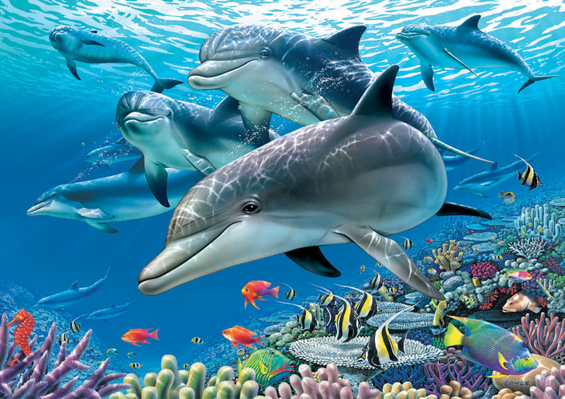 Puzzle. Paradise Under The Sea. By Puzzle Passion #11750 Educa