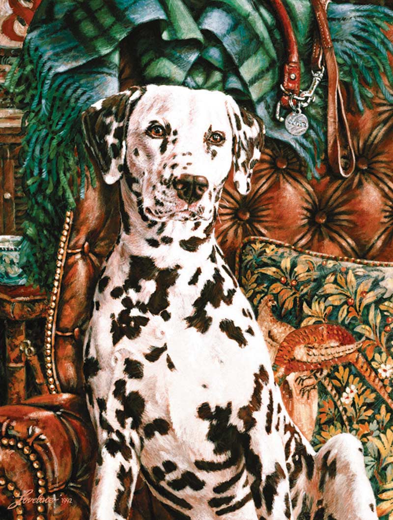 Dalmatian, 500 Pieces, SunsOut Serious Puzzles