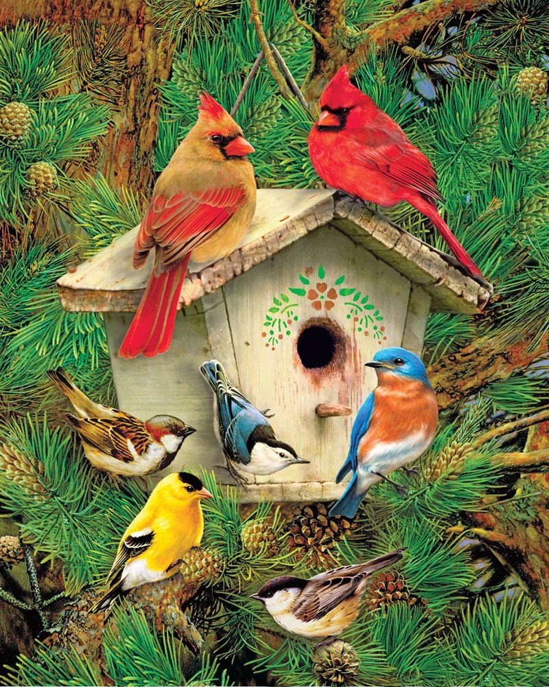 Birds Jigsaw Puzzles