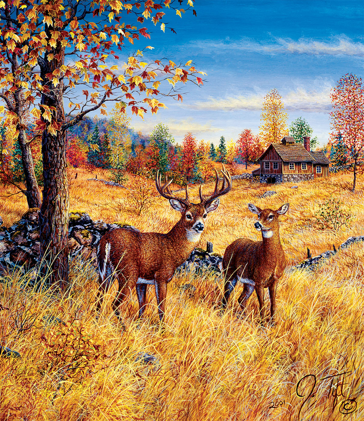 Colors of Autumn, 550 Pieces, SunsOut | Serious Puzzles