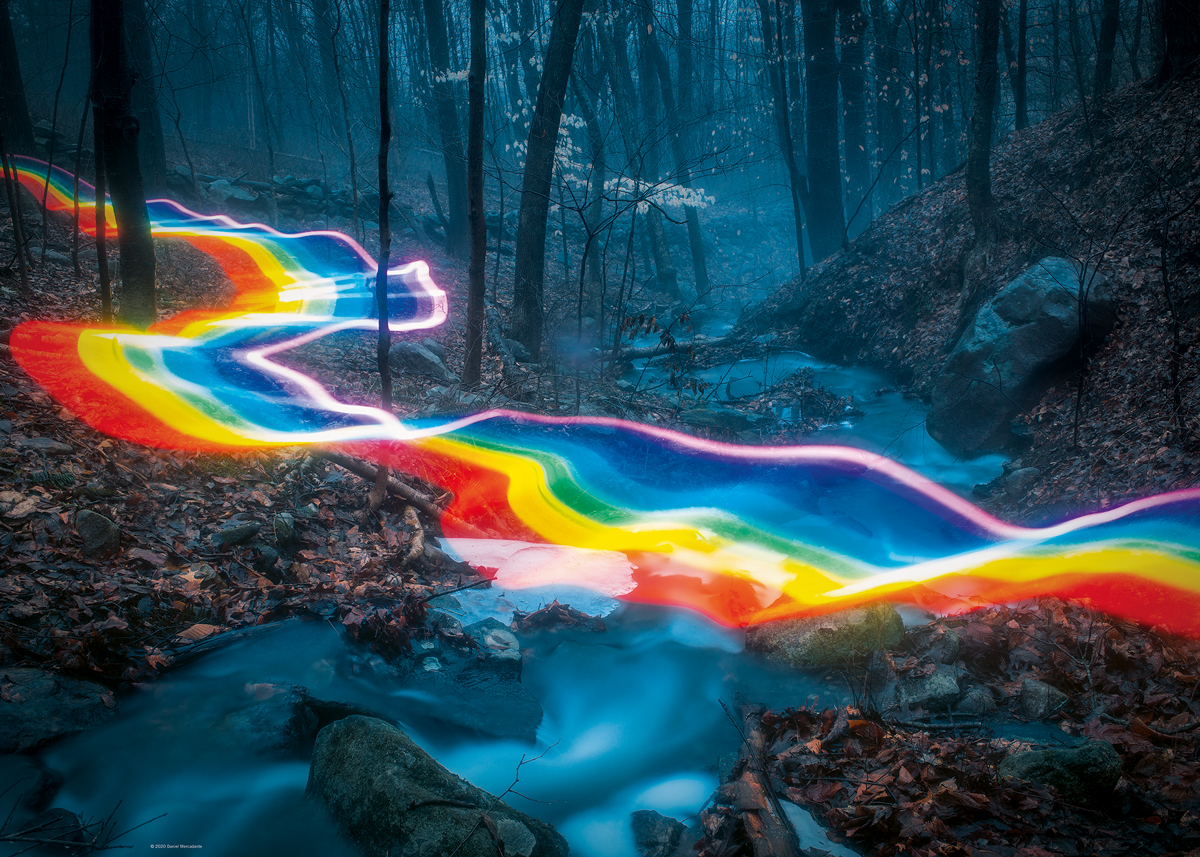 Rainbow Forests Forest Jigsaw Puzzle