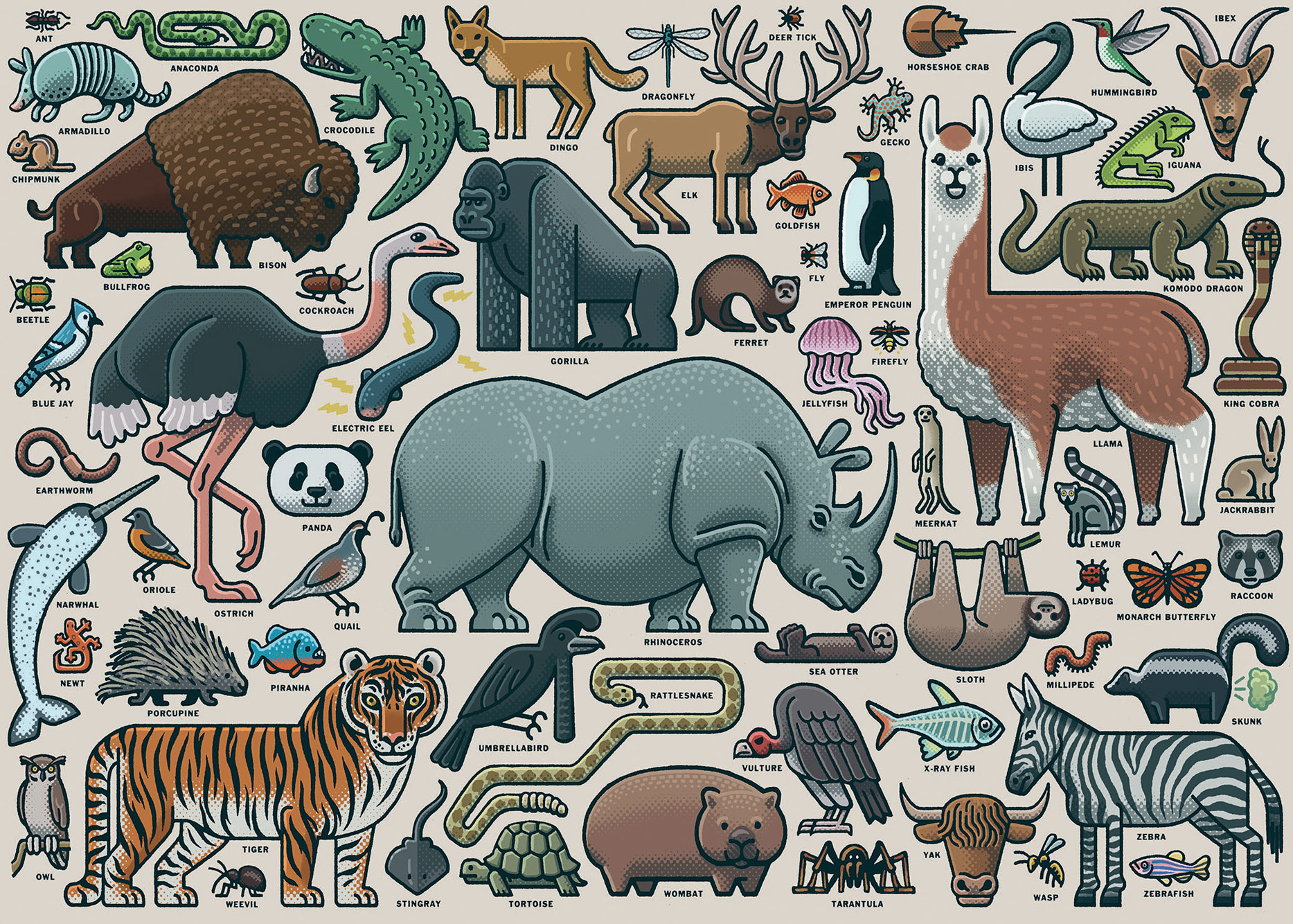 You Wild Animal Animals Jigsaw Puzzle