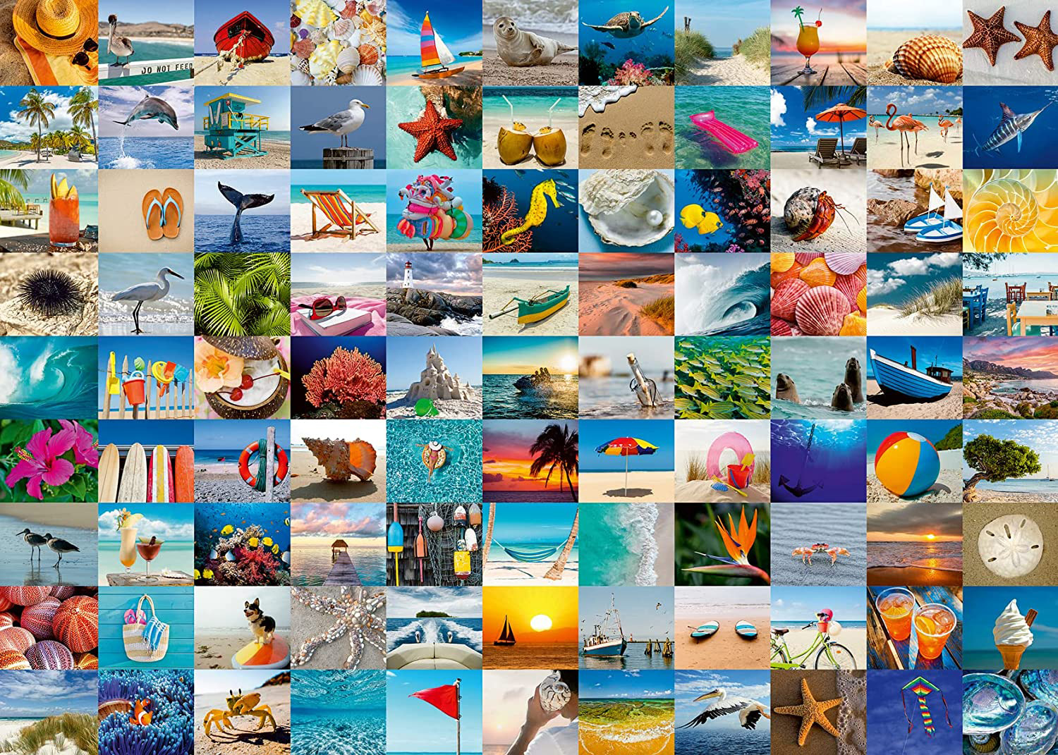 99 Seaside Moments Sea Life Jigsaw Puzzle