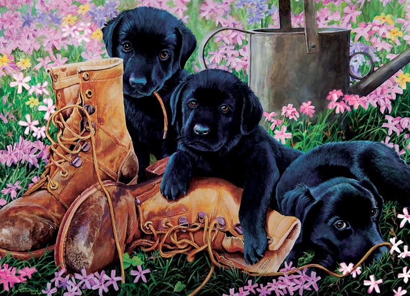 Black Lab Puppies Dogs Jigsaw Puzzle