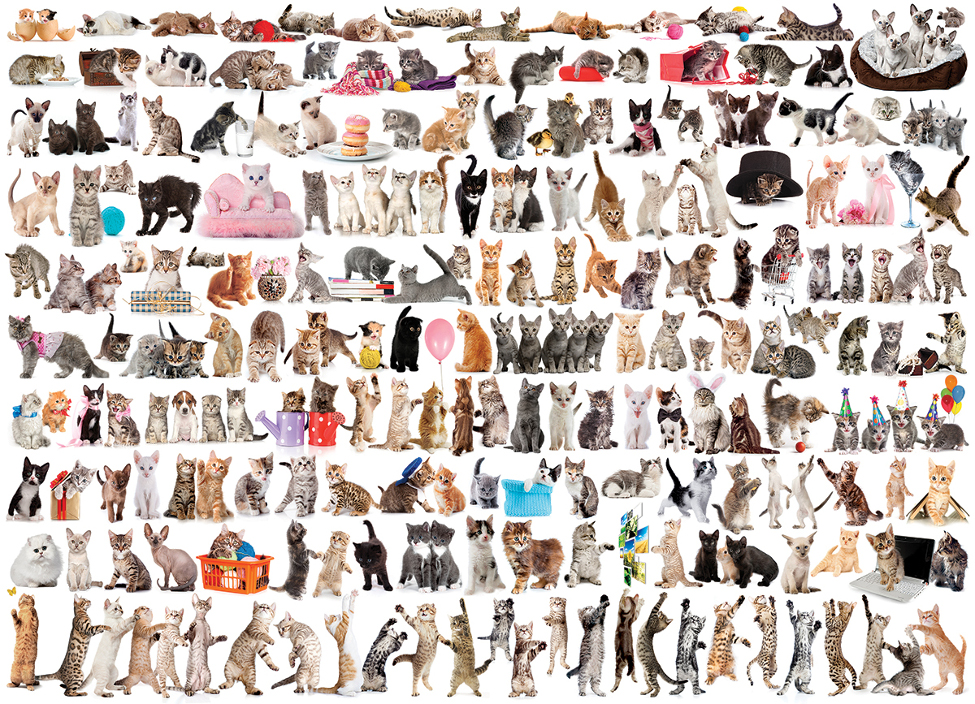 The World of Cats Cats Jigsaw Puzzle