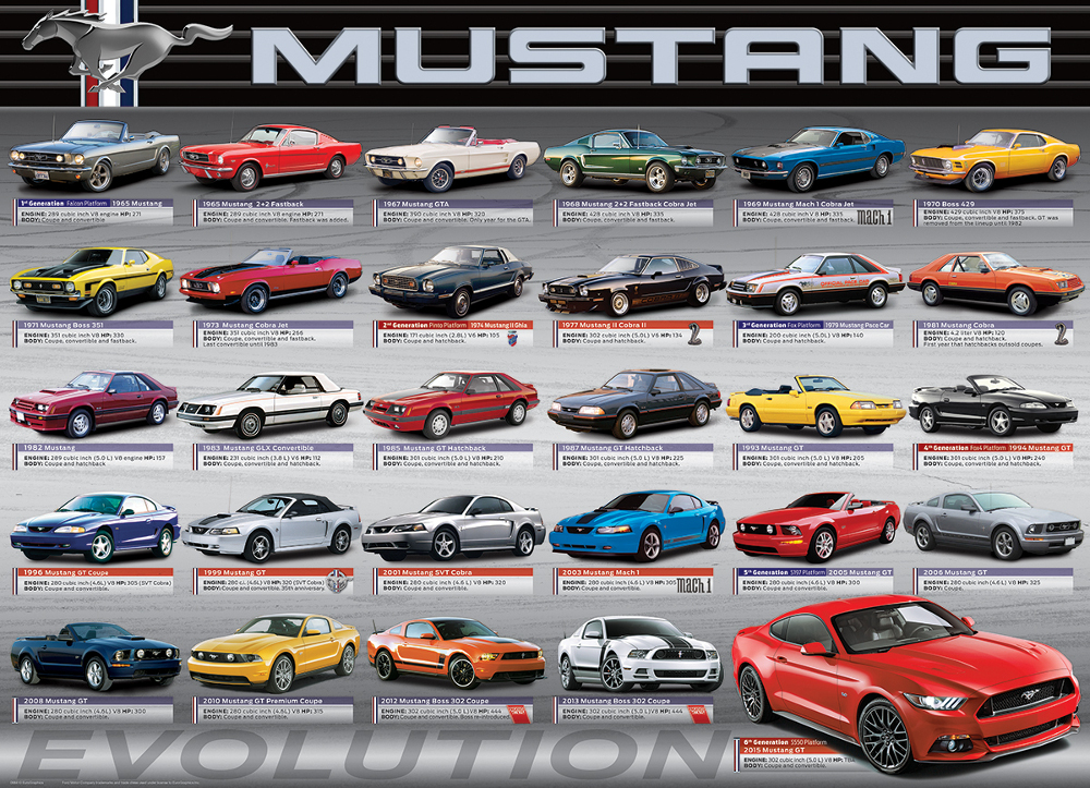 Ford Mustang Evolution 50th Anniversary Car