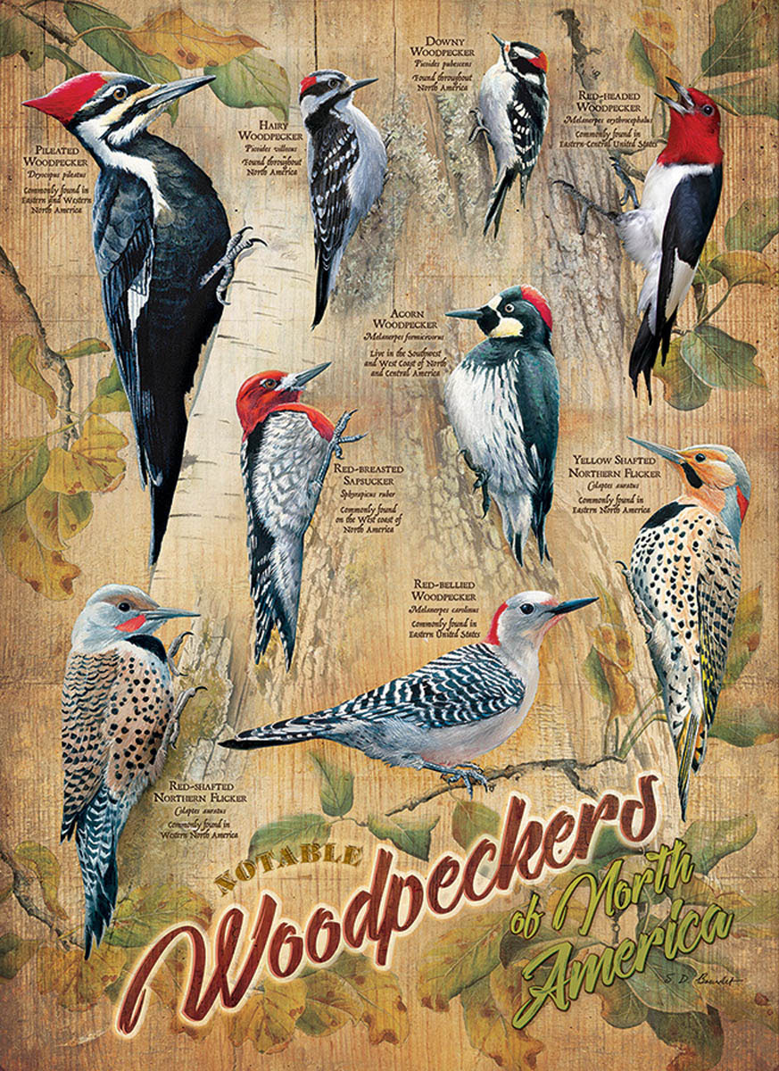 Notable Woodpeckers Birds Jigsaw Puzzle