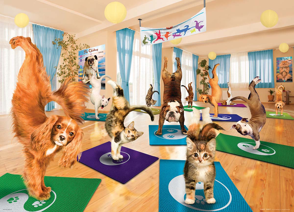 Yoga Studio Cats Jigsaw Puzzle