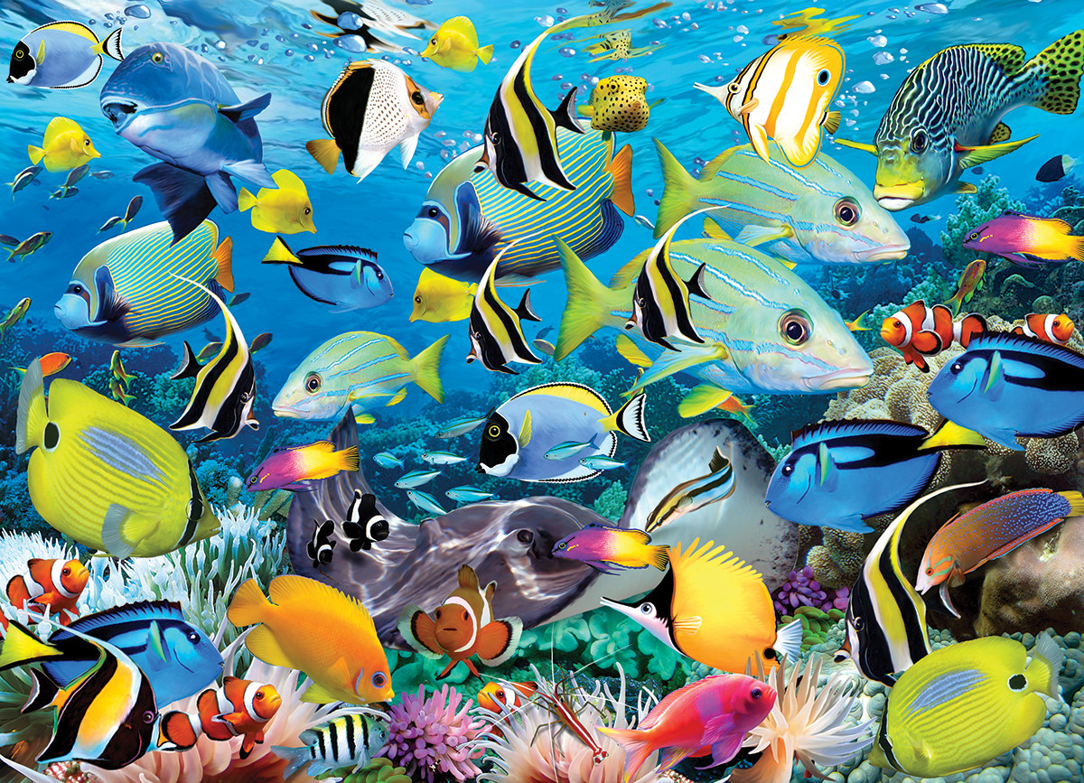 Ocean Colors Sea Life Jigsaw Puzzle