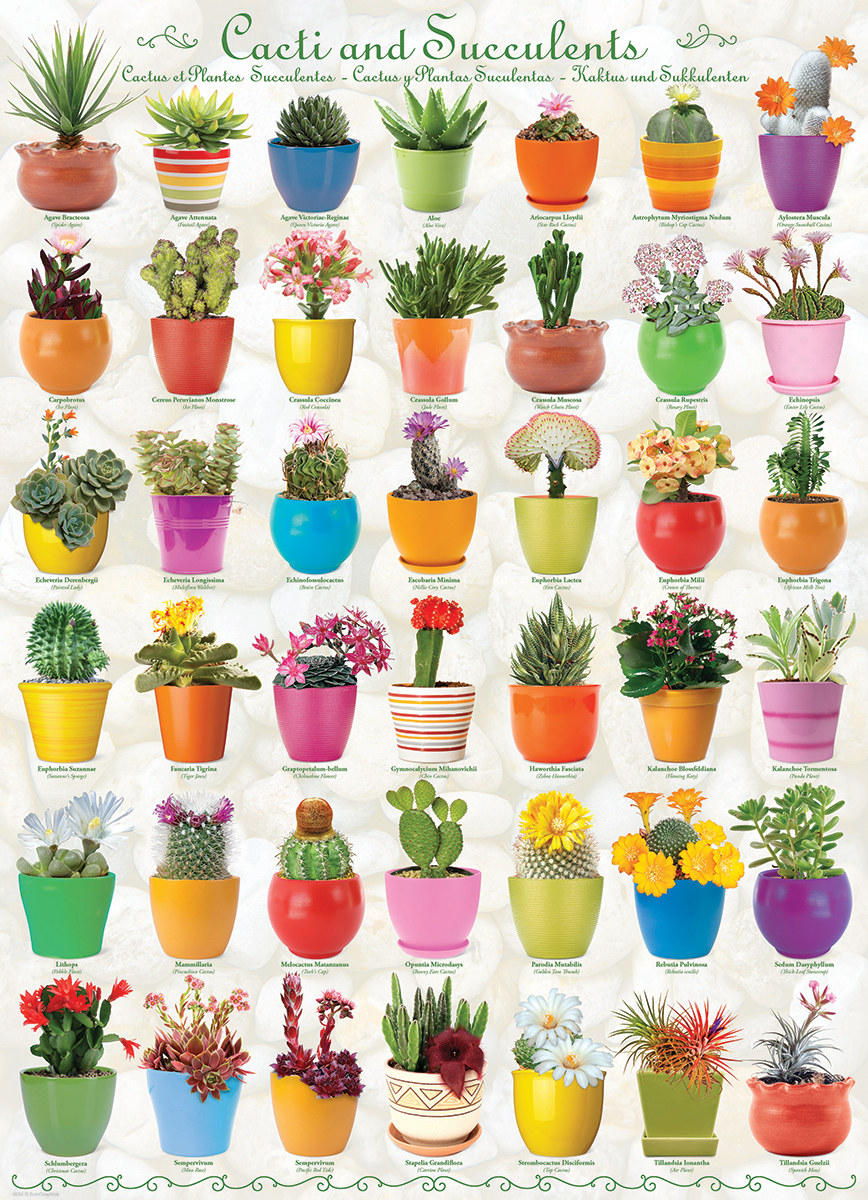Cacti and Succulents Flower & Garden Jigsaw Puzzle