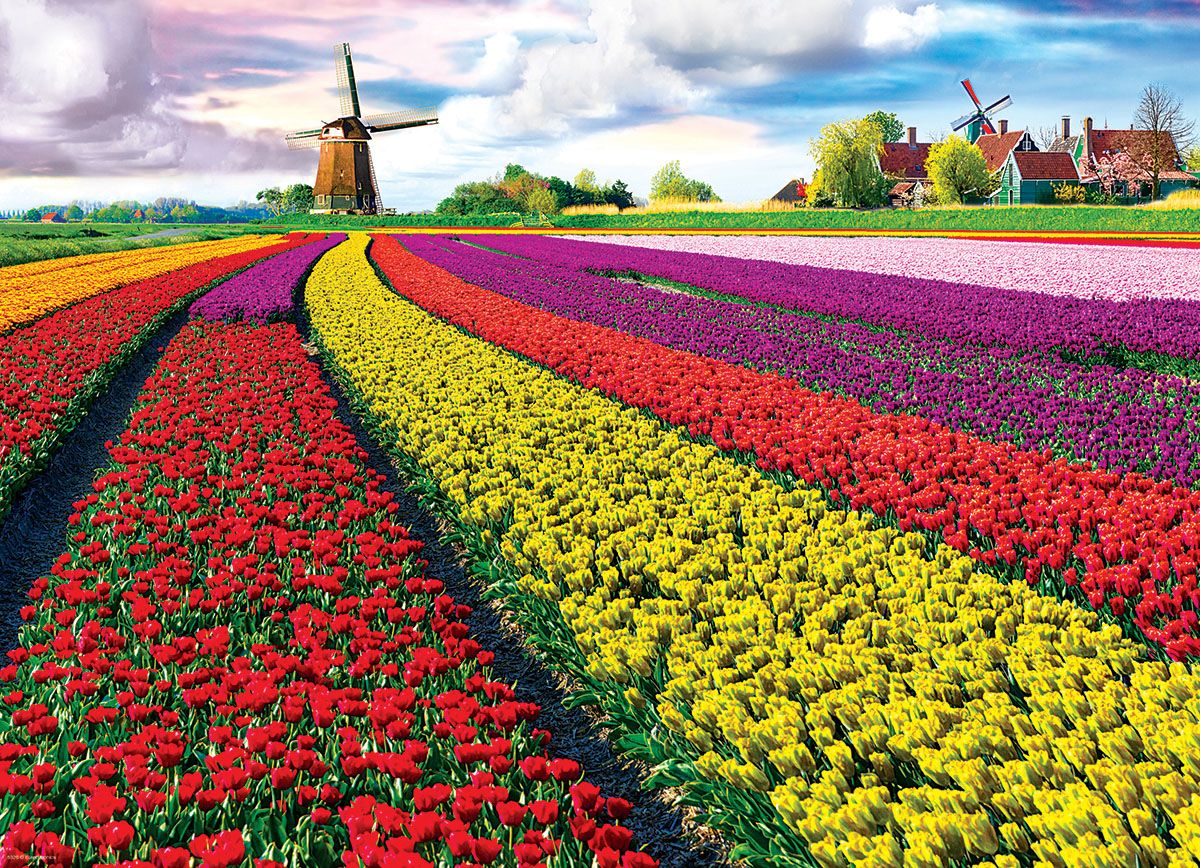 Tulip Field - Netherlands Flower & Garden Jigsaw Puzzle