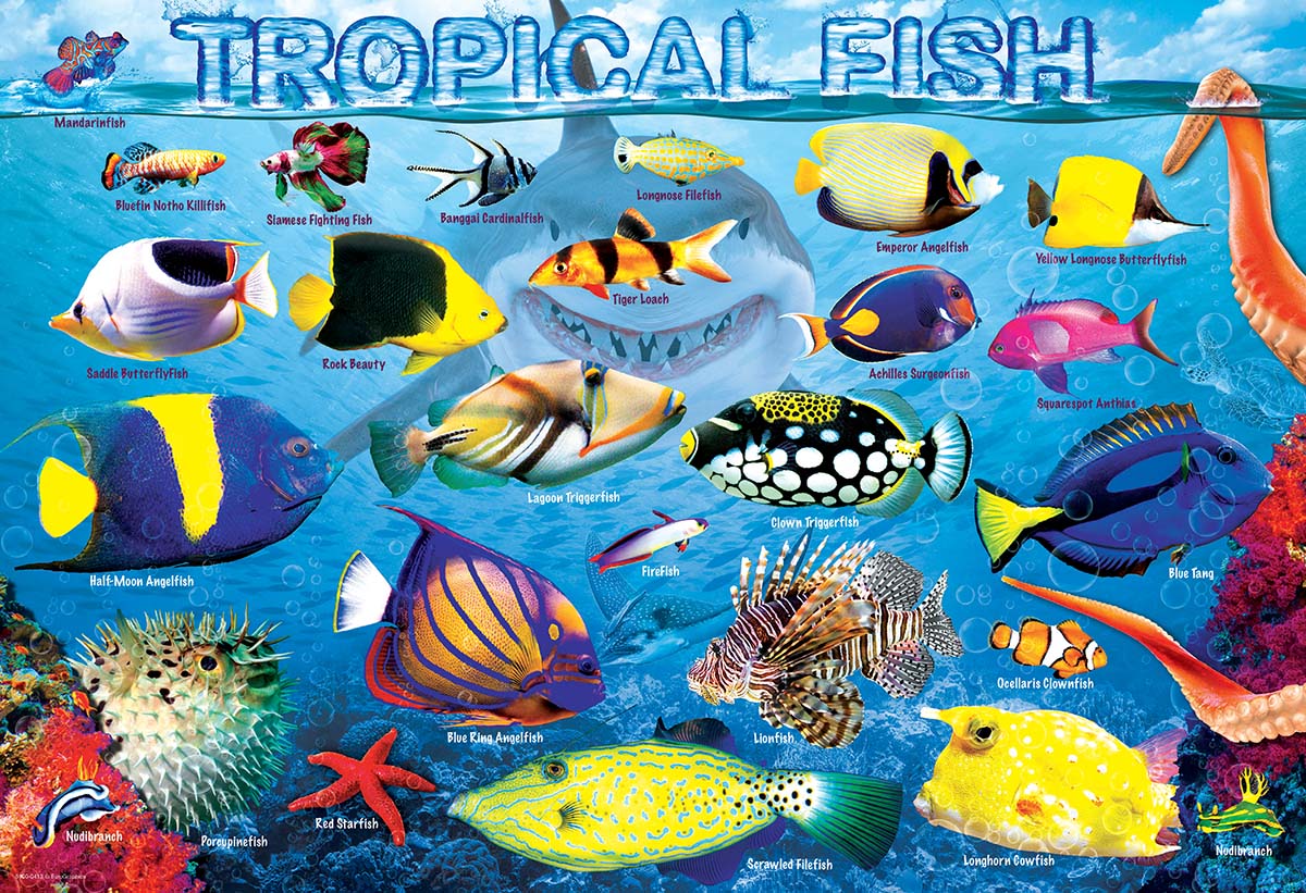 Tropical Fish Sea Life Jigsaw Puzzle