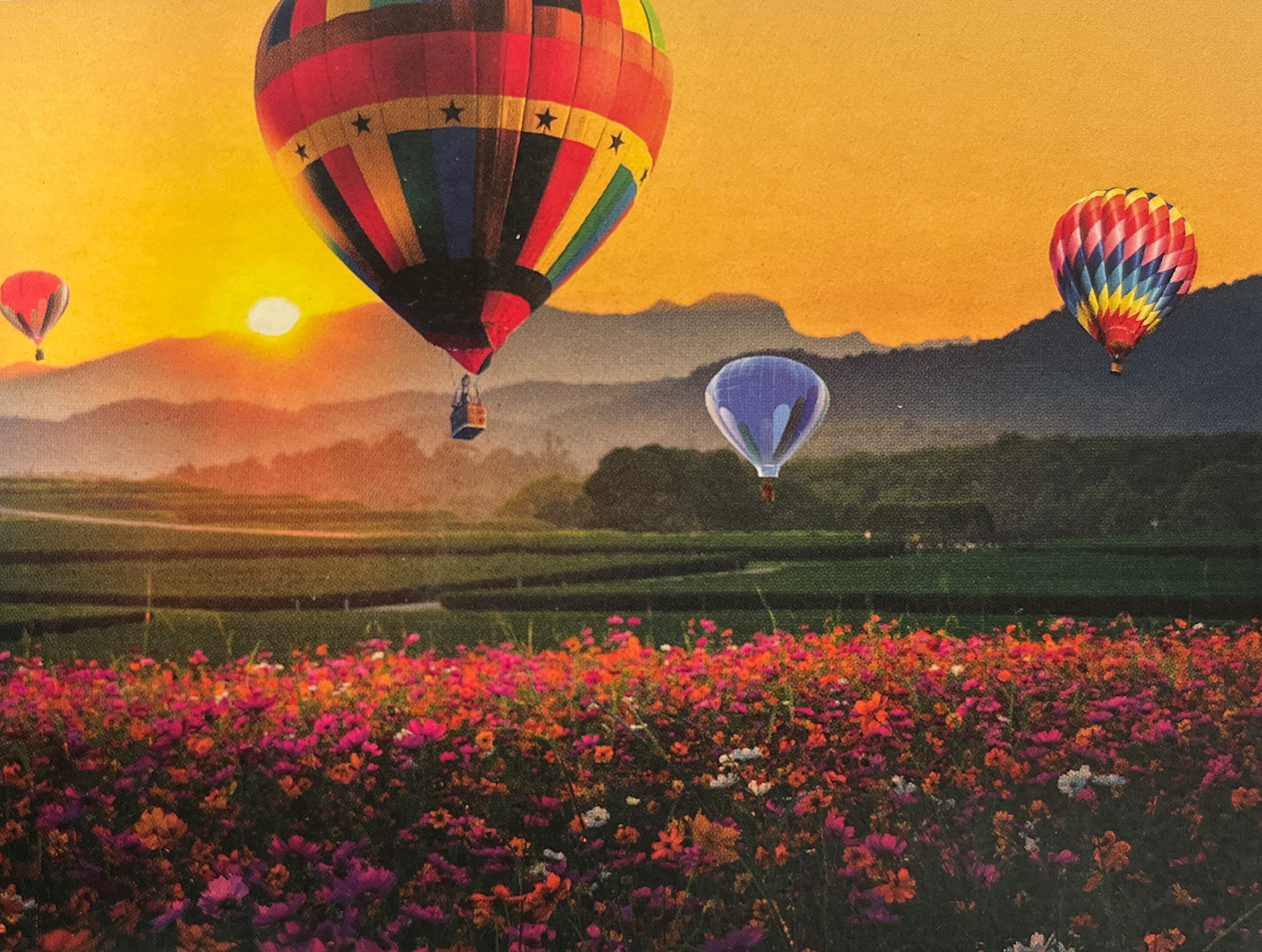 Colorful Sunset Flower & Garden Jigsaw Puzzle