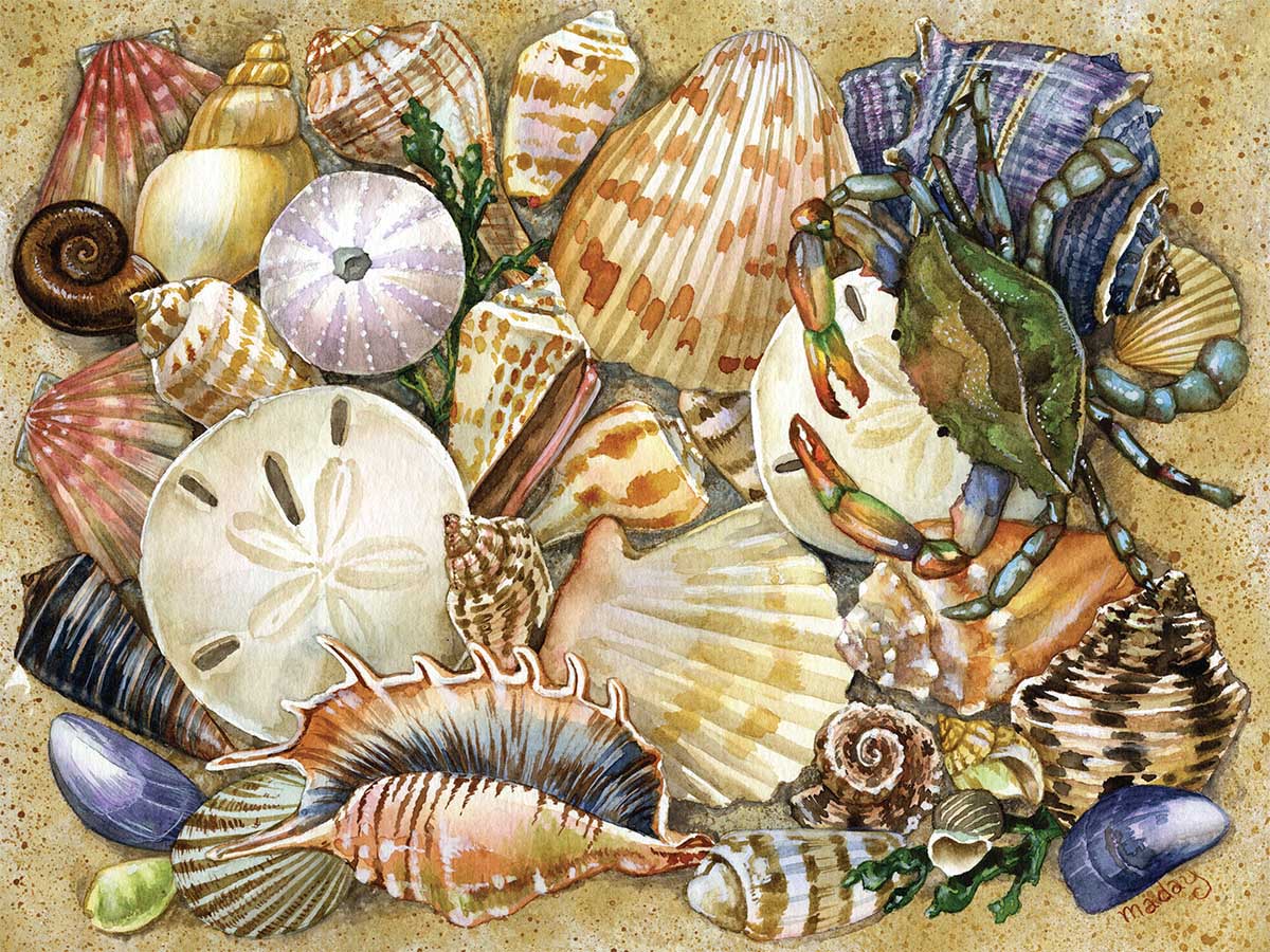 Tidal Treasures Collage Jigsaw Puzzle