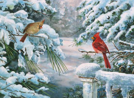 Winter Companions Birds Jigsaw Puzzle