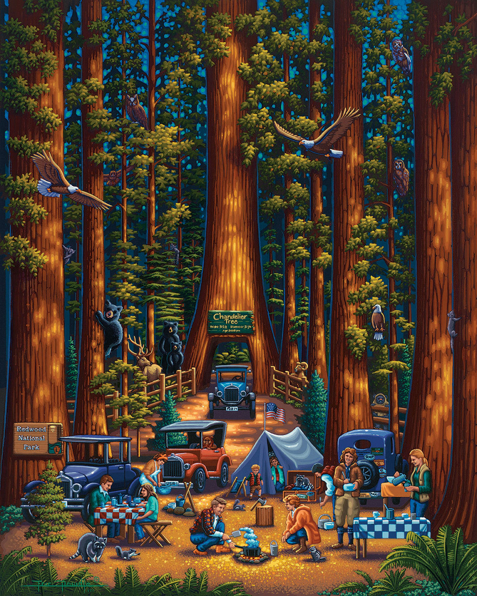 Redwood National Park Forest Jigsaw Puzzle