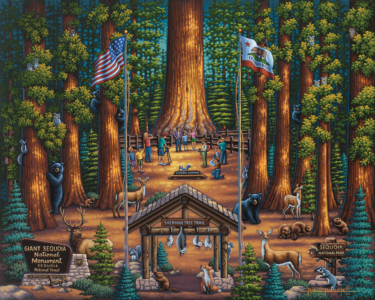 Sequoia National Park Forest Jigsaw Puzzle