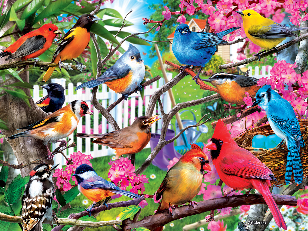 Hidden in the Branches Birds Jigsaw Puzzle
