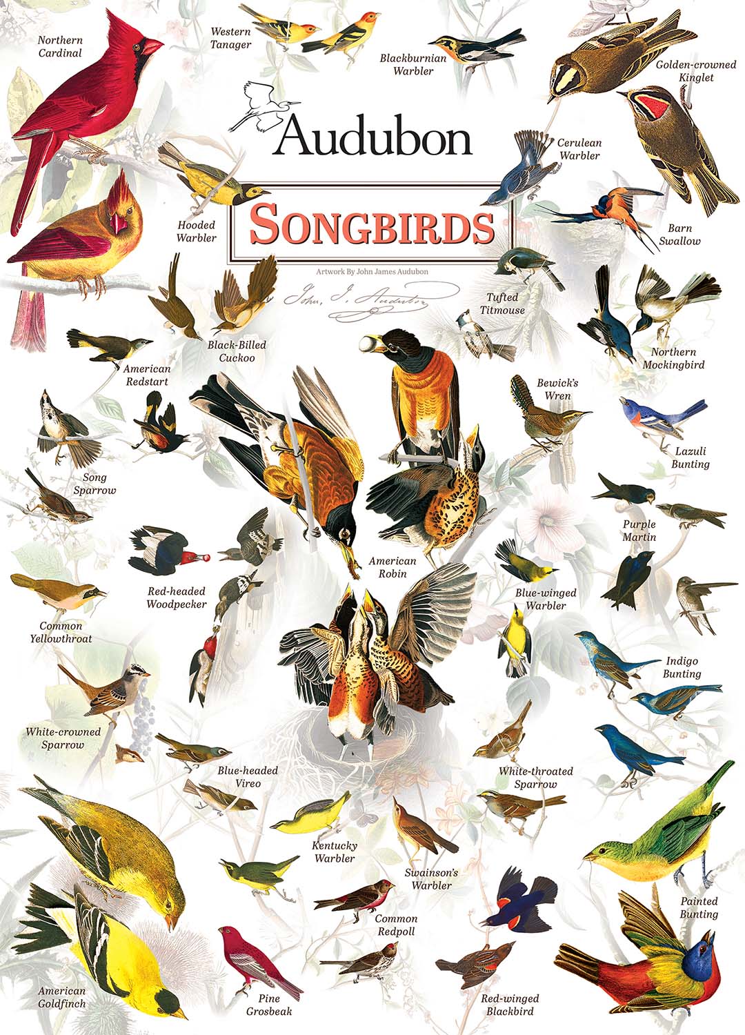 Songbirds Birds Jigsaw Puzzle