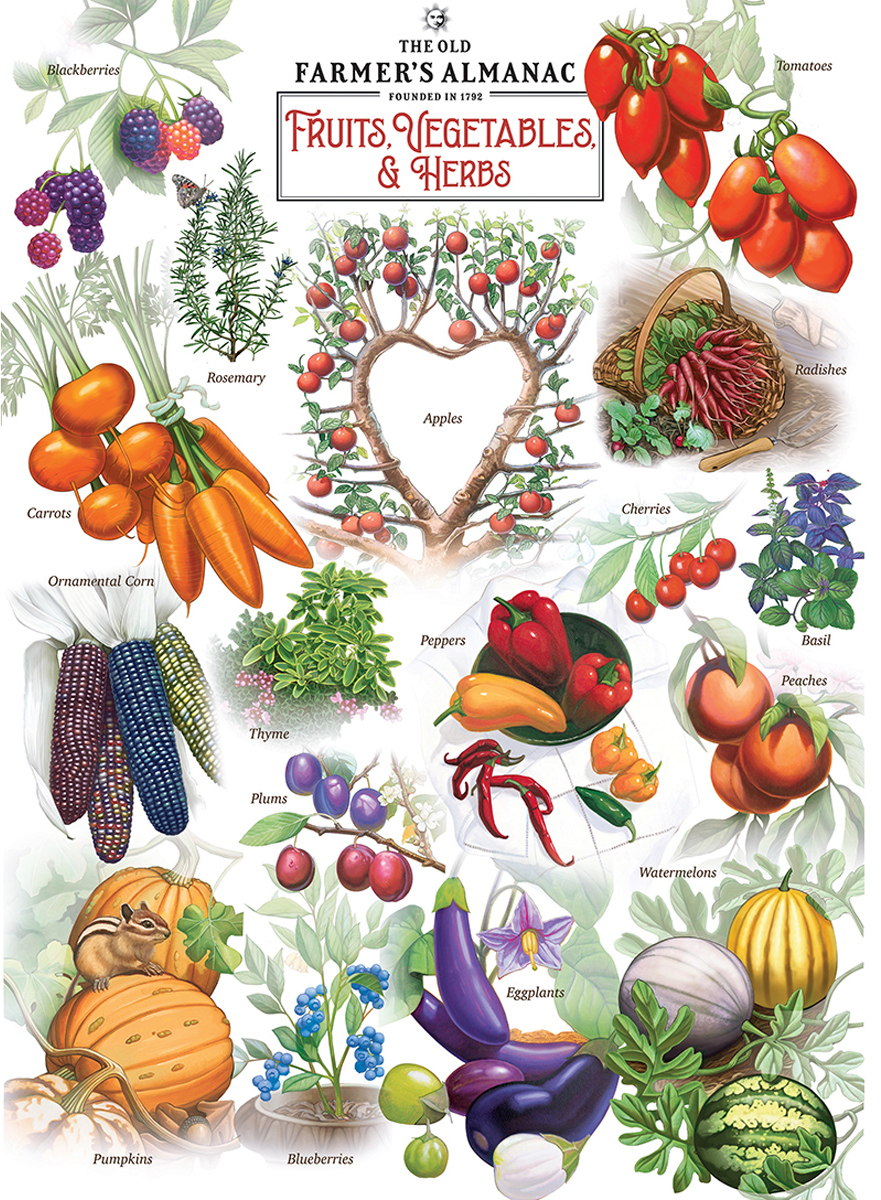 Fruits & Vegetables Fruit & Vegetable Jigsaw Puzzle