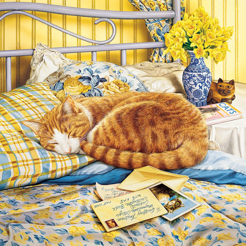 Catology jigsaw cheap puzzles