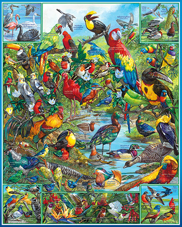 Wooden Jigsaw Puzzle 1000 Pieces, Beautiful Parrot, Unique Puzzle