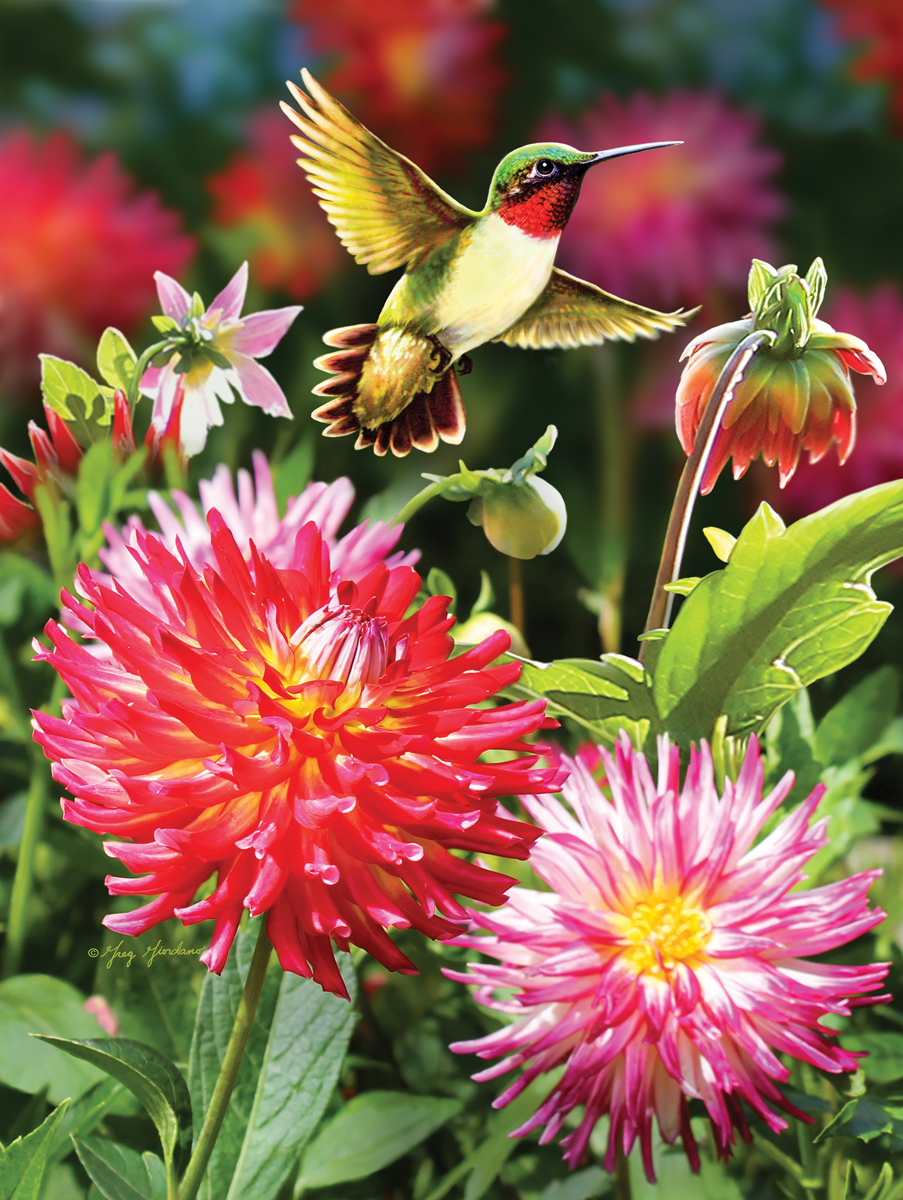 Hummingbirds and Dahlia, 550 Pieces, Karmin International | Serious Puzzles
