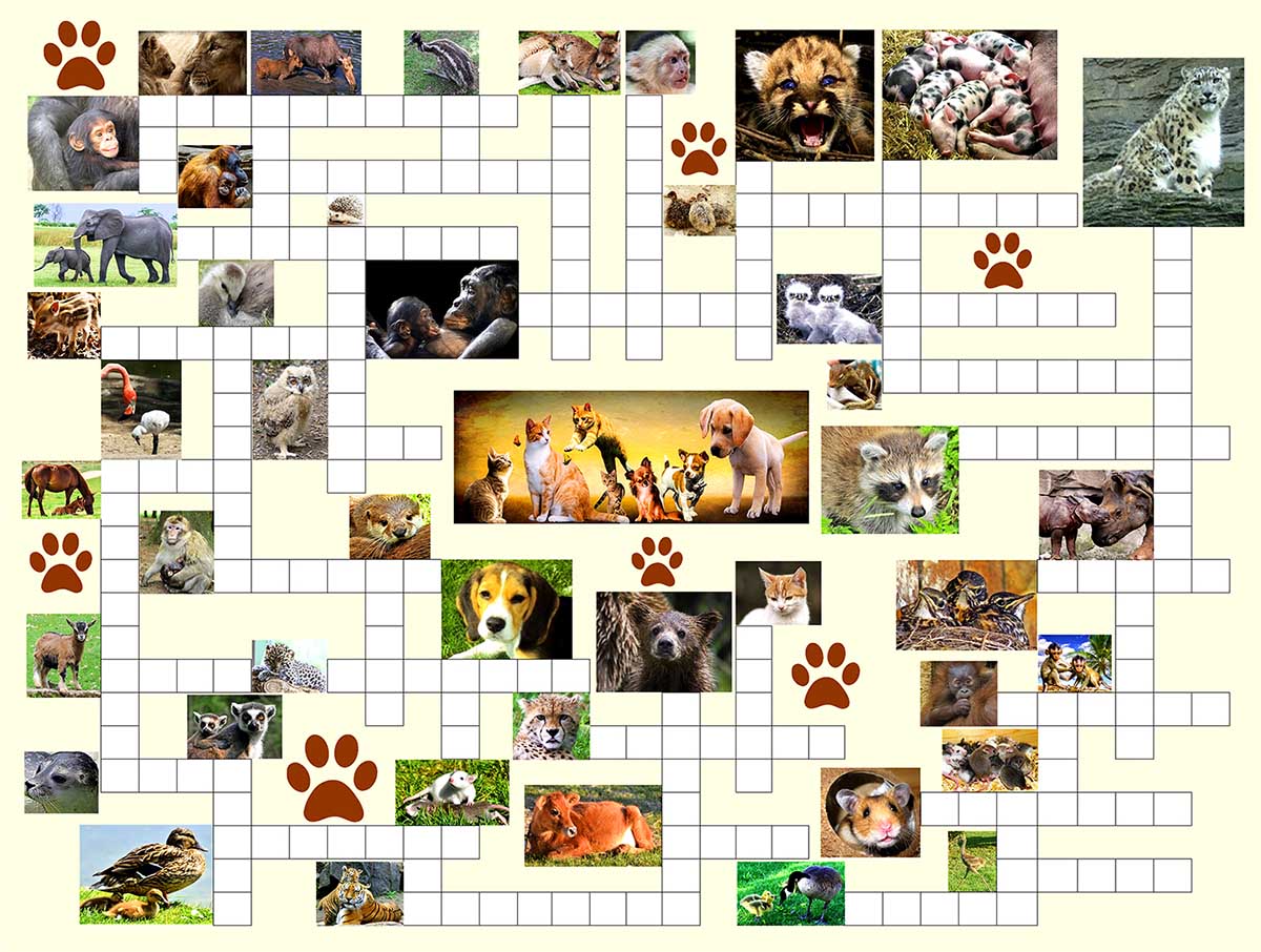 Animal Nursery Animals Jigsaw Puzzle