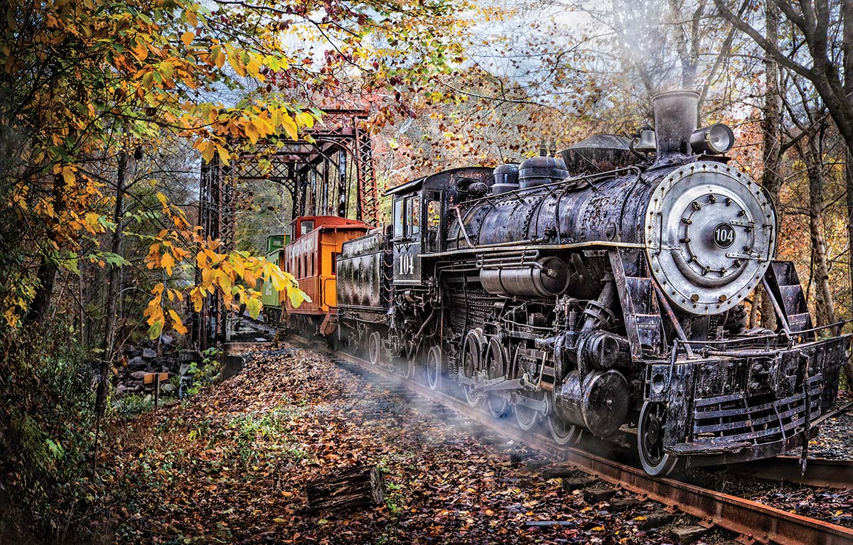 Train's Coming Travel Jigsaw Puzzle