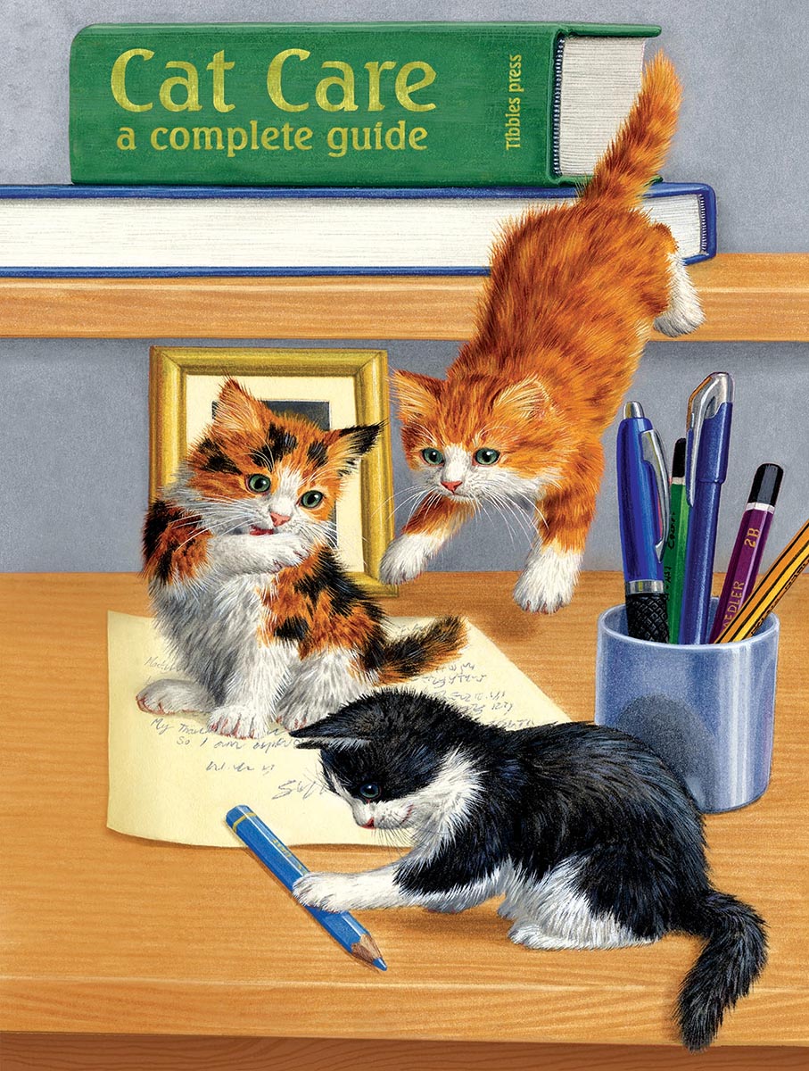 Cat sales care puzzles