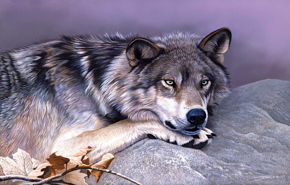 Time Out Wolf Jigsaw Puzzle