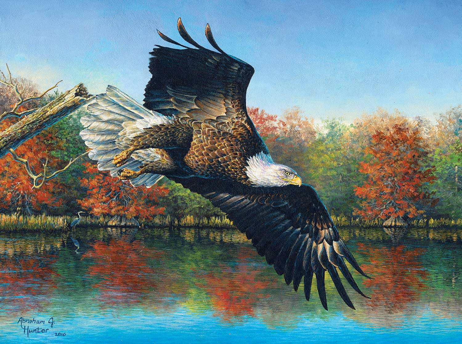 Wetlands Eagle Birds Jigsaw Puzzle