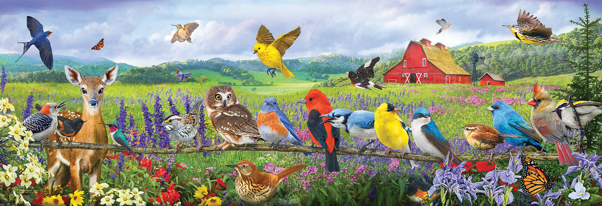Ravensburger - Birds in the Meadow - 500 Piece Jigsaw Puzzle