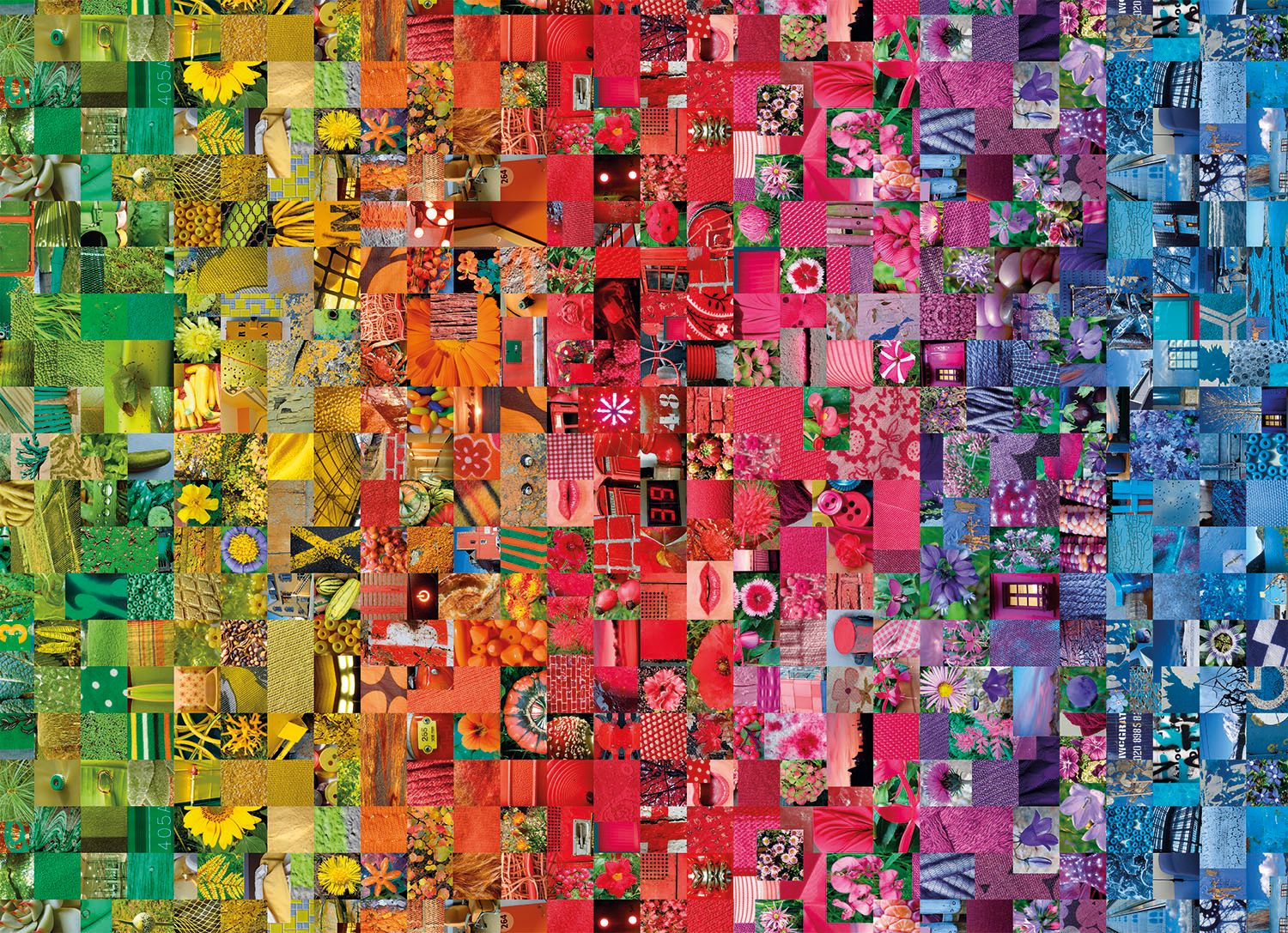 Collage Collage Jigsaw Puzzle