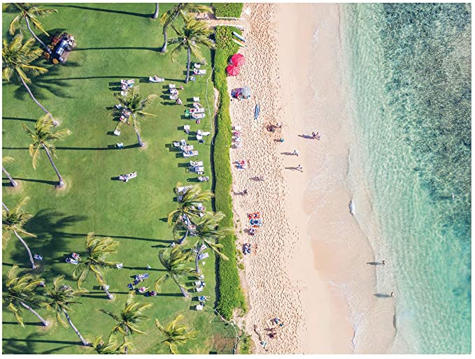 The Hawaii Beach United States Jigsaw Puzzle