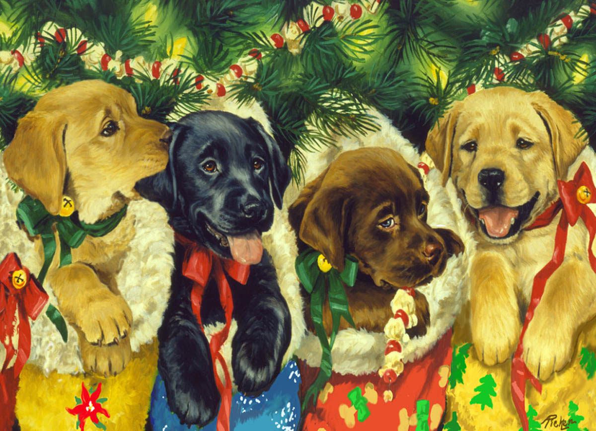 Christmas Puppies, 1000 Pieces, Vermont Christmas Company | Serious Puzzles