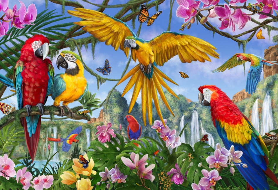 Tropical Birds Birds Jigsaw Puzzle