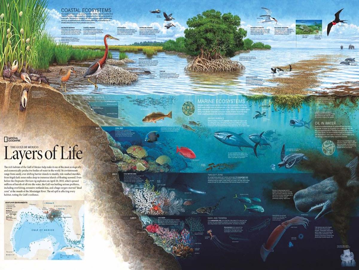Layers of Life Animals Jigsaw Puzzle
